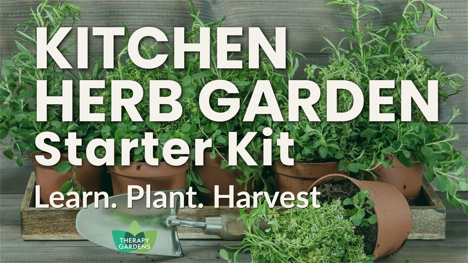 Kitchen herbs growing with plant labels for the Kitchen Herb Garden experience