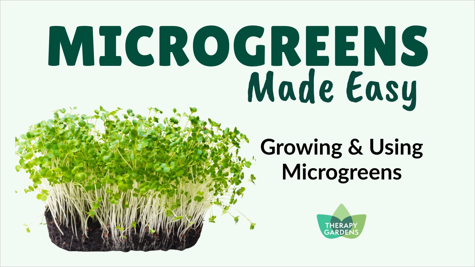 Fresh microgreens for the Microgreens Made Easy experience