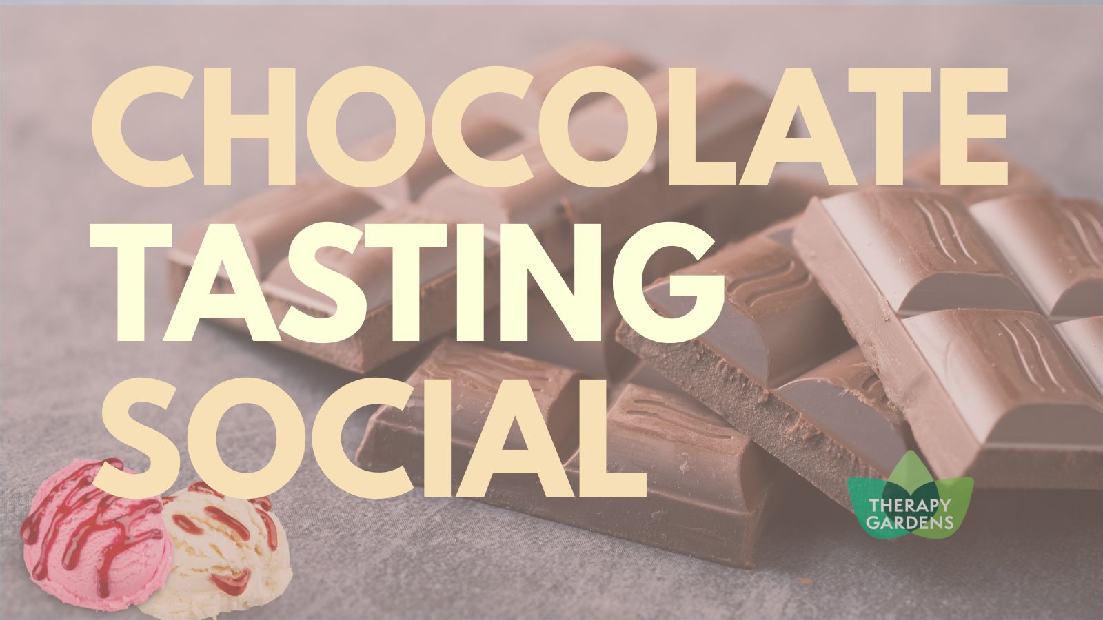 Chocolate pieces for the Chocolate Tasting Social experience